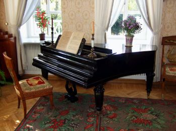 What's wrong with this picture?  Never put water, flower vases or candles on your piano!  It's just asking for disaster!  Charles Flaum does insurance appraisals for fine instruments.