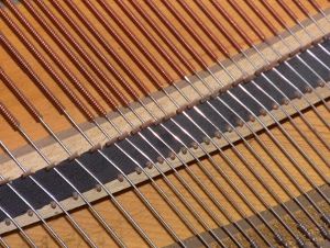 This is a piano bridge. Charles has repaired and replaced cracked bridges in Rockland County for over twenty years. It is a job requiring craftsmanship, mathematical precision and a vast depth of knowledge!